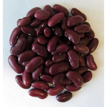 Kidneybønner, røde, 25 kg, økologisk