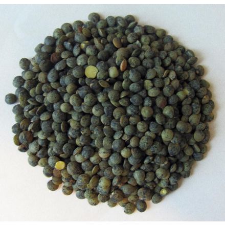 Linser, grønne, dupuy, 25 kg, økologisk