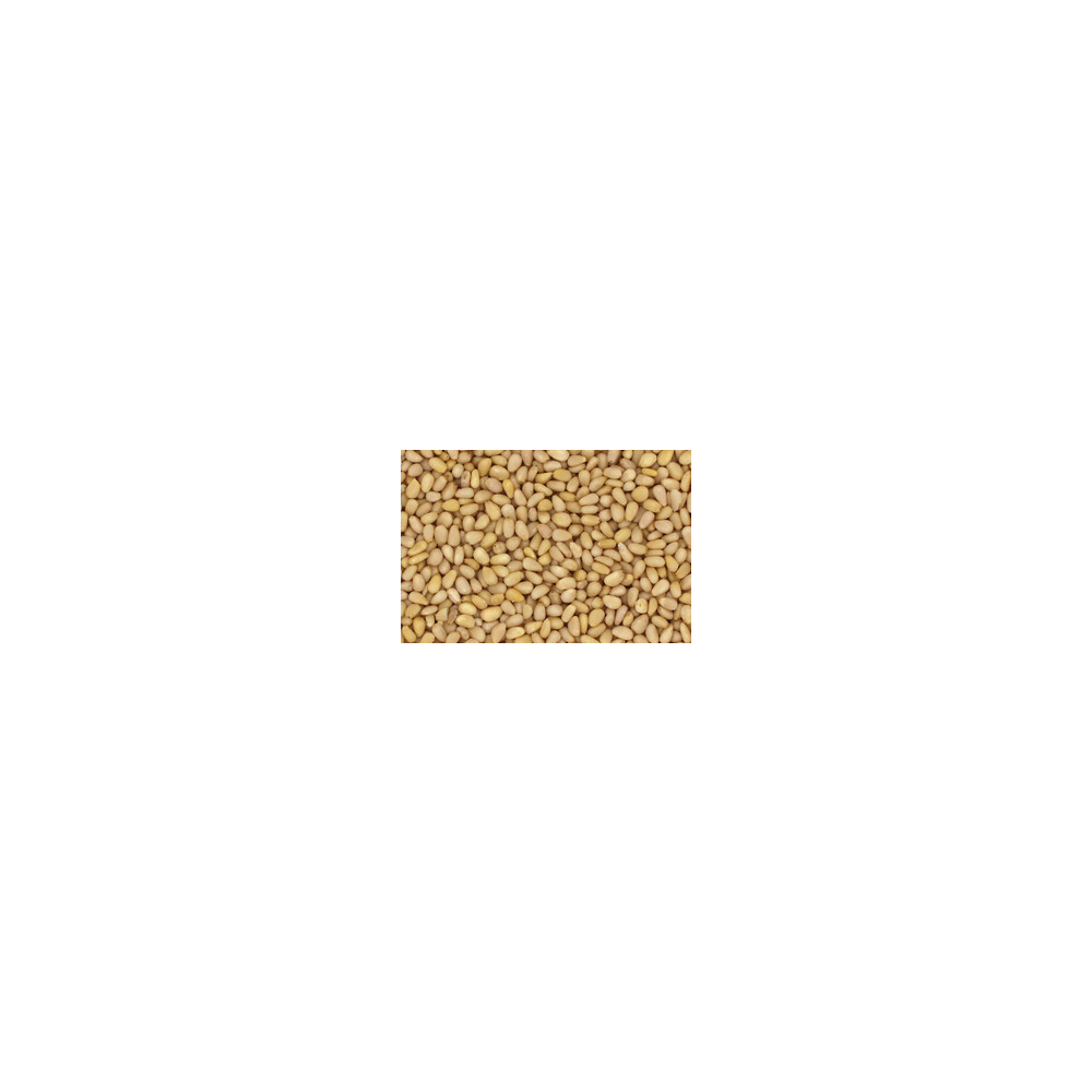 Pinjekjerner,10 kg, økologisk main product photo